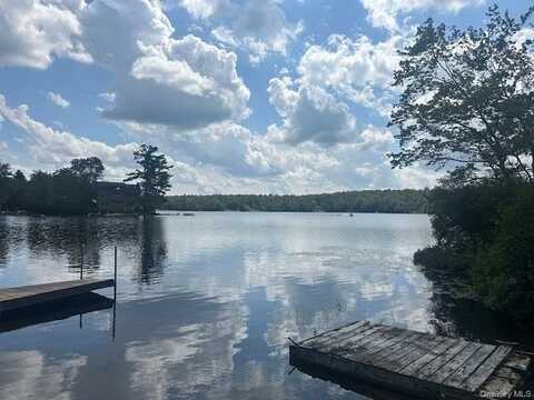 94 Park Drive, Parksville, NY 12768