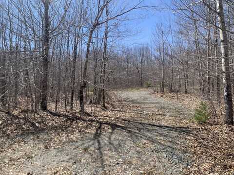 Lot 30 Jellison Hill Road, Dedham, ME 04429