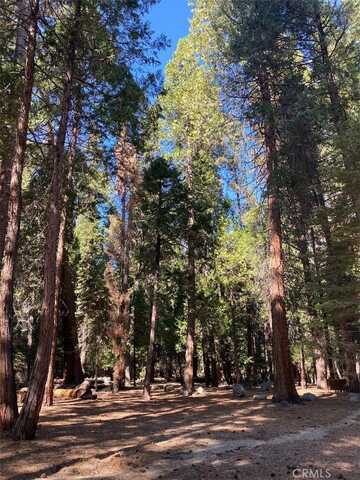 778 Yuroc Dr, Arnold, CA 95223