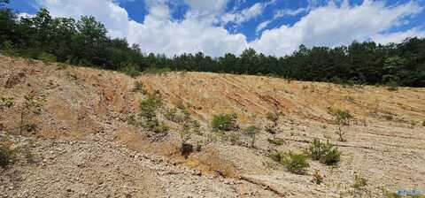 3.3+/- Acres--0 County Road 27, Fort Payne, AL 35968