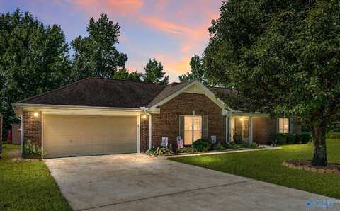 304 Earnhardt Drive, New Market, AL 35761