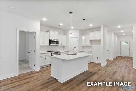 236 Jerrie Lynn Boulevard, Meridianville, AL 35759