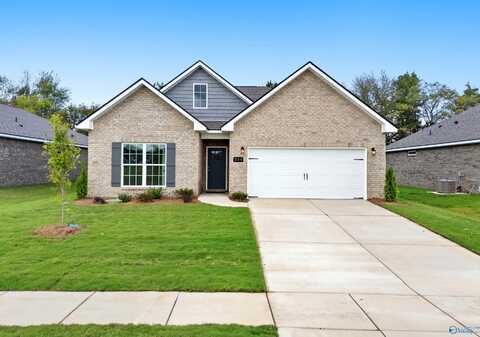 236 Jerrie Lynn Boulevard, Meridianville, AL 35759