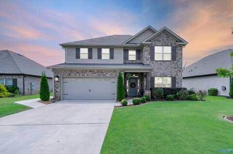 110 Edmund Circle, New Market, AL 35761