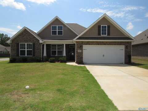 3035 Henry Road SE, Decatur, AL 35603