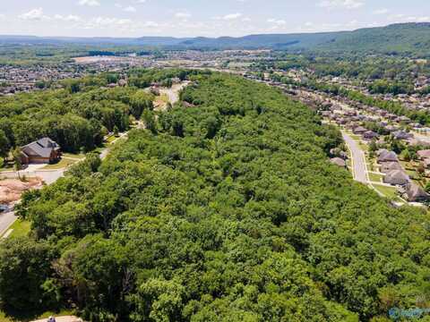 4631 Saddle Ridge Drive, Owens Cross Roads, AL 35763
