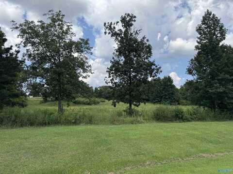 1.75 Ac Alabama Highway 157, Town Creek, AL 35672
