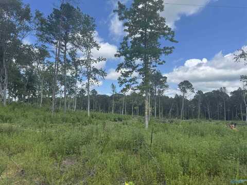 Lot 14 County Road 794, Gaylesville, AL 35973