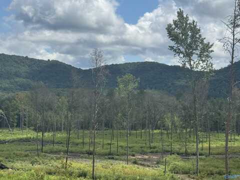 Lot 15 County Road 794, Gaylesville, AL 35973