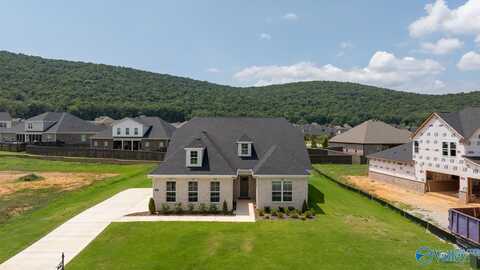 8123 Goose Ridge Drive, Owens Cross Roads, AL 35763