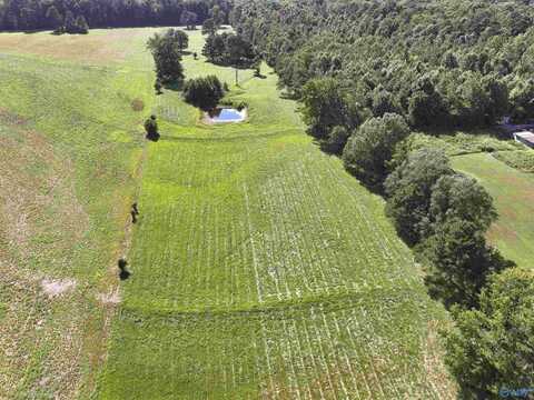 26691 Lambert Road, Elkmont, AL 35620