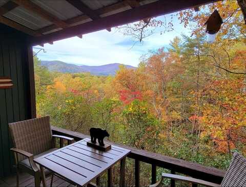 350 Field Drive, Sautee Nacoochee, GA 30571