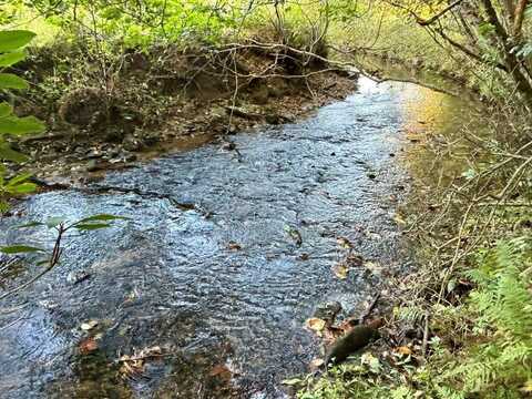 2ac Rainey Valley Lane, Morganton, GA 30560