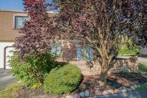 1651 Mentor Avenue unit: 3012, Painesville, OH 44077