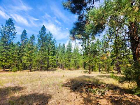 1866 H NORTHPORT FLAT CREEK RD, KETTLE FALLS, WA 99141