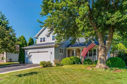 335 Indian Ridge Trl, Wauconda, IL 60084