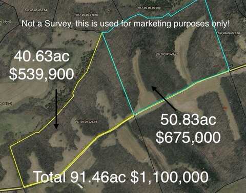 91.46 Ac Conrad Lane, Williamstown, KY 41097