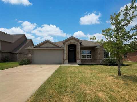4124 Bridle Path Lane, Sanger, TX 76266
