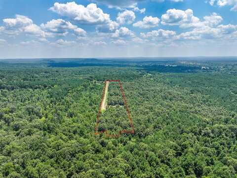 175 3900 Road, Gilmer, TX 75686