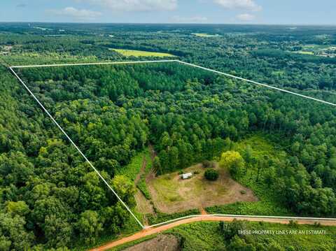 1355 County Road 682, Coffee Springs, AL 36318