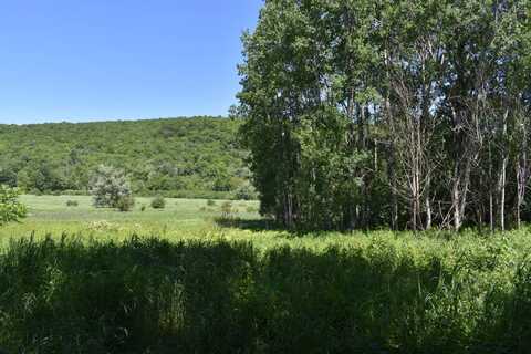 0 Farrington Hollow Road, Cherry Creek, NY 14723