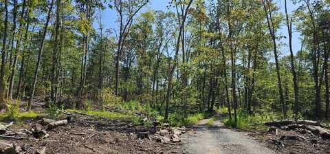 Lot 8.1 Eckes Road, Narrowsburg, NY 12764
