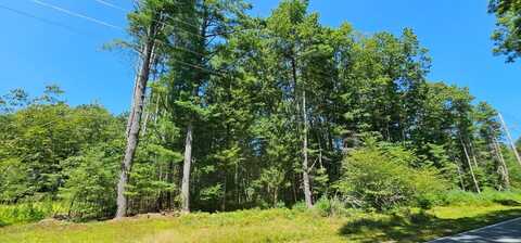 Lot 50 Deep Hollow Hill Rd, Narrowsburg, NY 12764