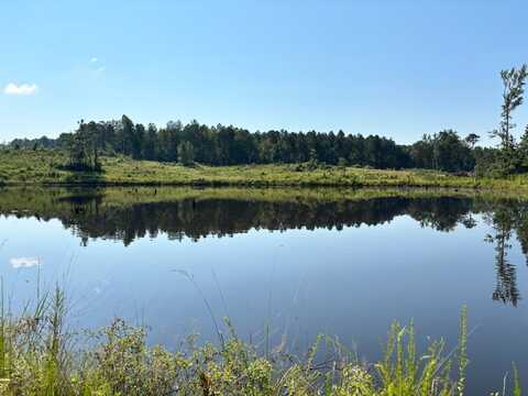 2985 Martin Road, Carthage, MS 39051