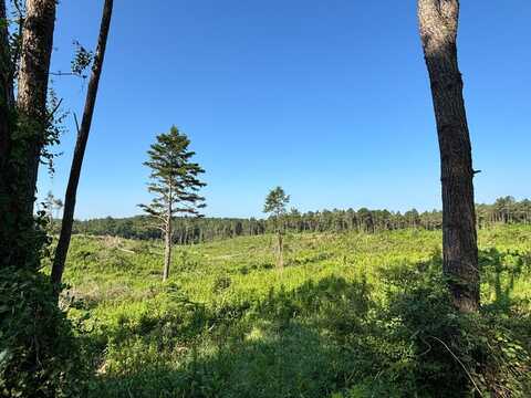 00 Martin Road, Carthage, MS 39051