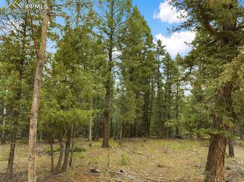 810 Ridge Road, Divide, CO 80814