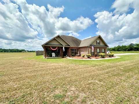 7 Scenic View, Carriere, MS 39426