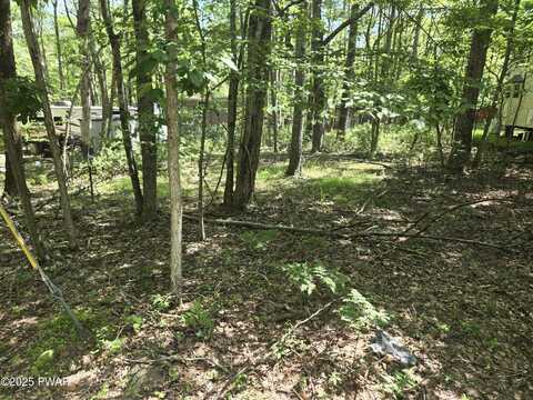 Mohican Rd., Shohola, PA 18458