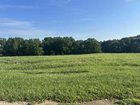 23-73 Broadview, LAKE CARROLL, IL 61046