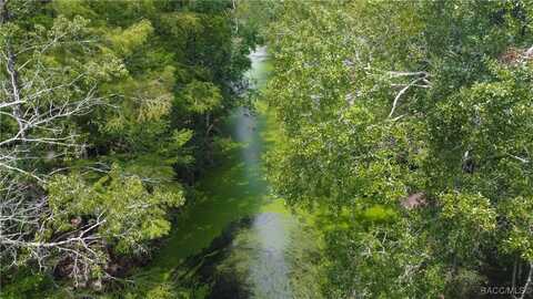 8156 S Kimberly Circle, Floral City, FL 34436