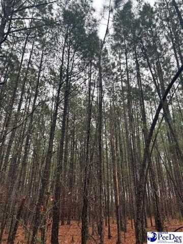TBD Freeman Rd, Bethune, SC 29009