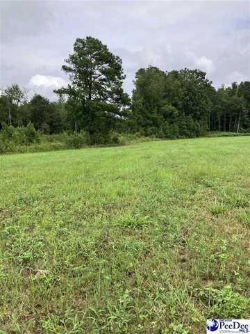 140 PINKNEY RD., KINGSTREE, SC 29401