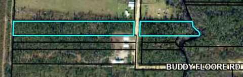 Lot 42 Buddy Floore Rd, Wewahitchka, FL 32465