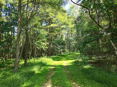 MEADOW SHORES Road, NESHKORO, WI 54960