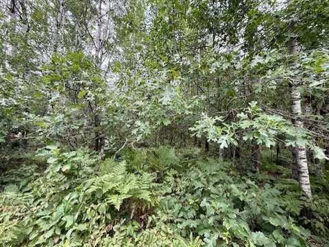 Lot 13 E Idlewild Lake Road, Barnes, WI 54873