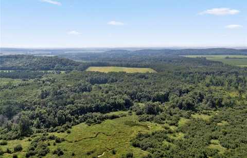 142 Acres 570th Street, Wheeler, WI 54772