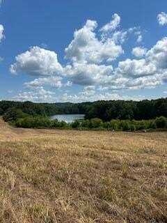 311 County Road 730, Riceville, TN 37370