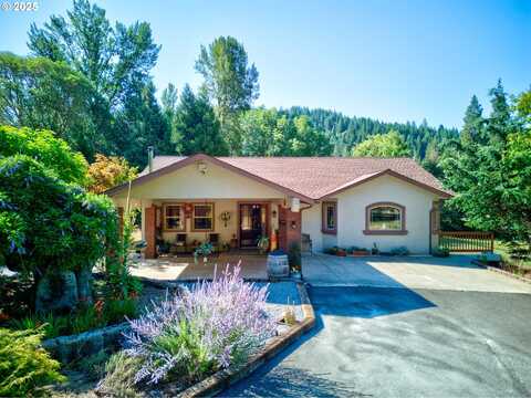 913 STARVEOUT CREEK RD, Azalea, OR 97410