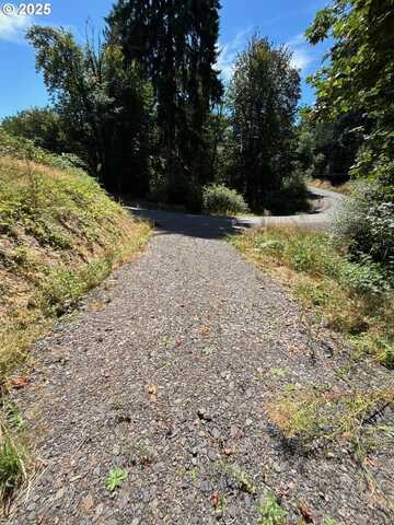 410 HICKS RD, Castle Rock, WA 98611