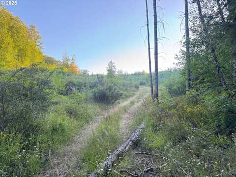 Pittsburg, Saint Helens, OR 97051
