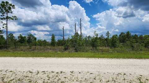 - Scissorbill Avenue, Brooksville, FL 34614