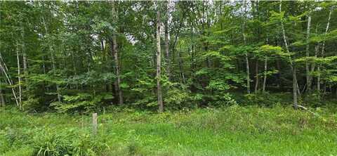 Julep Trail, Forest Lake, MN 55025