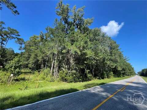 0 Reedsville Rd, Clyo, GA 31303