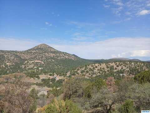 Aaron Road lot: 12A, Silver City, NM 88061