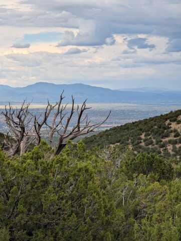 Ortiz Mine Grant, Cerrillos, NM 87010