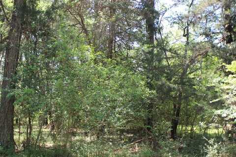 1093 AMIDSHIP DR, GREENBACKVILLE, VA 23356